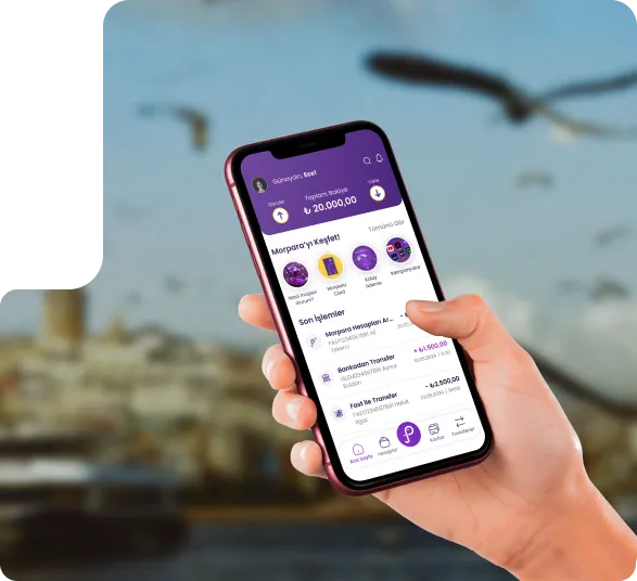 <h1>Get to know Morpara</h1><p></p>